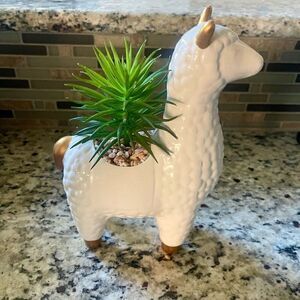 Alpaca Succulent Ceramic Flower Pot New